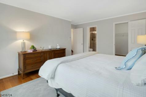 30 Coachlight Drive Chatham NJ 07928