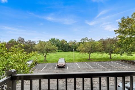 209 Spruce Hills Drive Glen Gardner NJ 08826