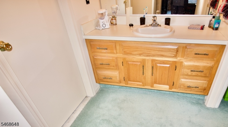 10 Quincy Court Bedminster NJ 07921