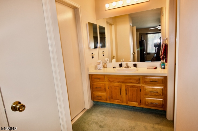 10 Quincy Court Bedminster NJ 07921