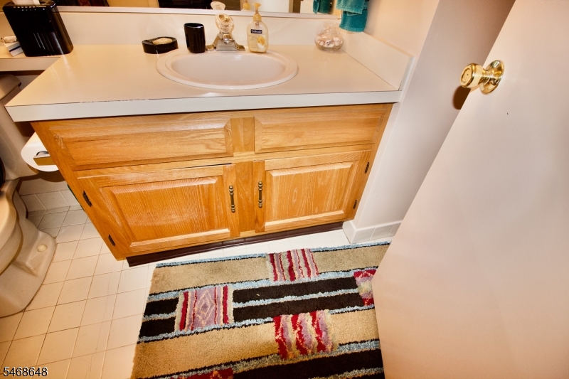 10 Quincy Court Bedminster NJ 07921