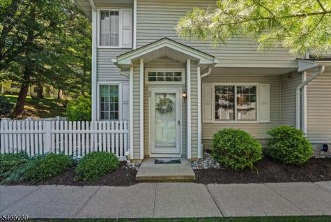 52 Encampment Drive Bedminster NJ 07921