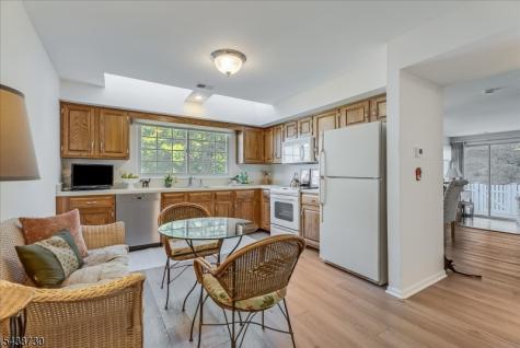 52 Encampment Drive Bedminster NJ 07921