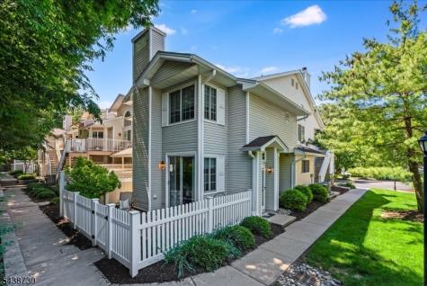 52 Encampment Drive Bedminster NJ 07921