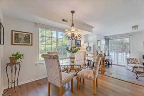 52 Encampment Drive Bedminster NJ 07921