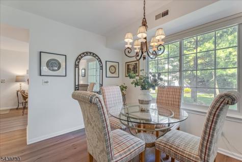 52 Encampment Drive Bedminster NJ 07921