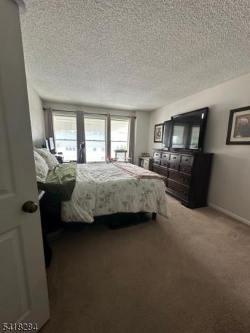19 Amherst Court Hamburg NJ 07419