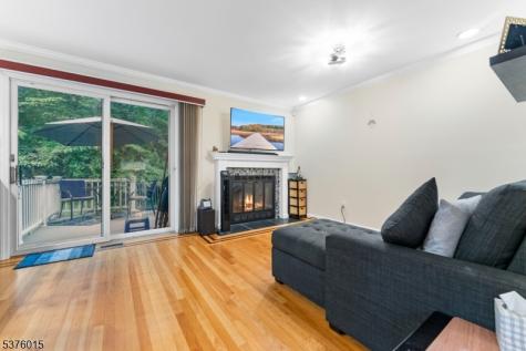 4 Brightwood Lane Bedminster NJ 07921