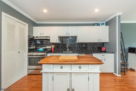 4 Katie Court East Hanover NJ 07936