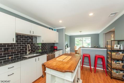 4 Katie Court East Hanover NJ 07936