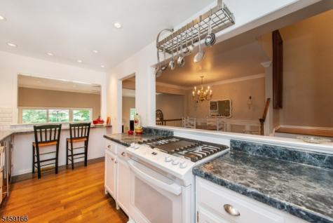 39 Chelsea Court Madison NJ 07940