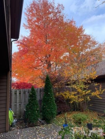 Edison NJ 08820