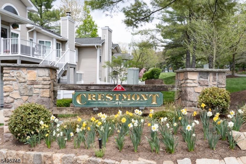 10 Crestmont Road Bedminster NJ 07921