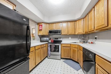13 Betty Court Lebanon NJ 08833