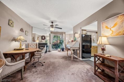 13 Betty Court Lebanon NJ 08833