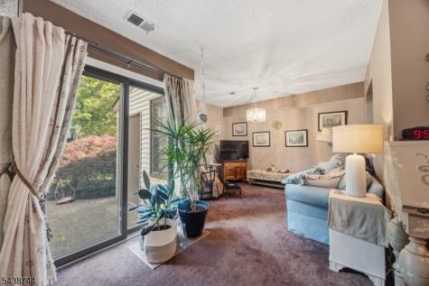 13 Betty Court Lebanon NJ 08833