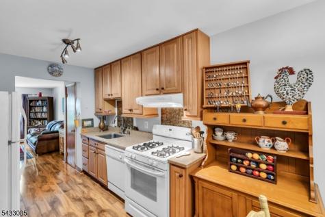 11 Colonial Court High Bridge NJ 08829