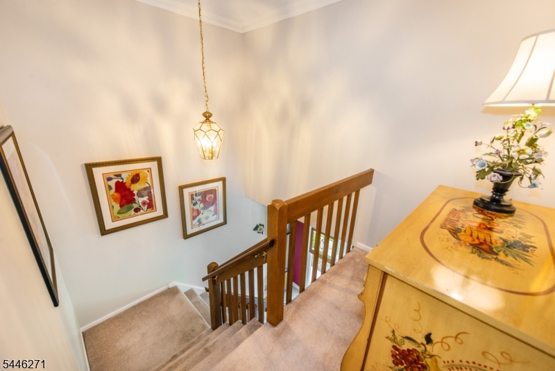 42 Highpoint Cedar Grove NJ 07009