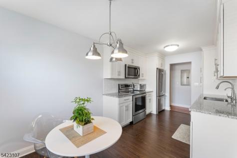 530 Park Avenue Scotch Plains NJ 07076