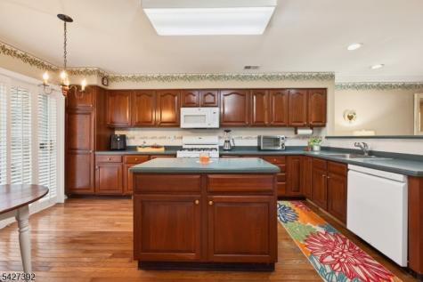 909 S Branch Drive Readington NJ 08889