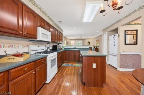 909 S Branch Drive Readington NJ 08889