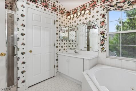 909 S Branch Drive Readington NJ 08889