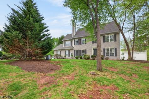 909 S Branch Drive Readington NJ 08889