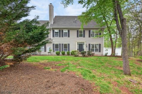 909 S Branch Drive Readington NJ 08889