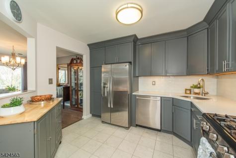 32 Birch Terrace Mount Arlington NJ 07856