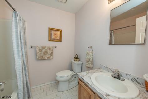 32 Birch Terrace Mount Arlington NJ 07856