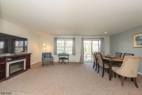 32 Birch Terrace Mount Arlington NJ 07856