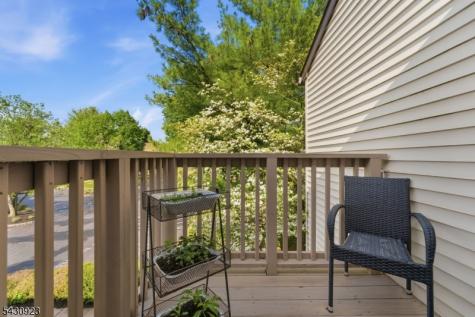 10 Cedar Court Raritan NJ 08822