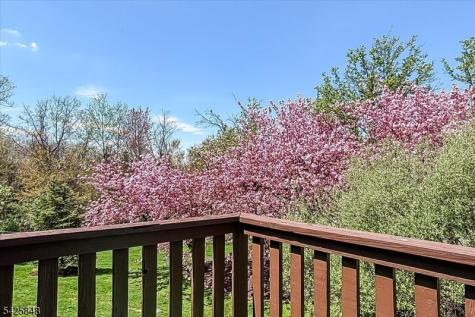 2 Powderhorn Drive Rockaway NJ 07866
