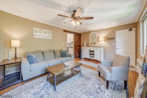 64 Troy Drive Springfield NJ 07081