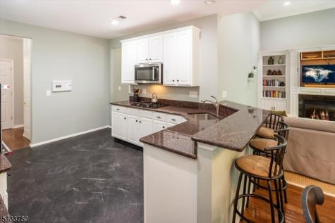 16 Wyckoff Way Chester NJ 07930