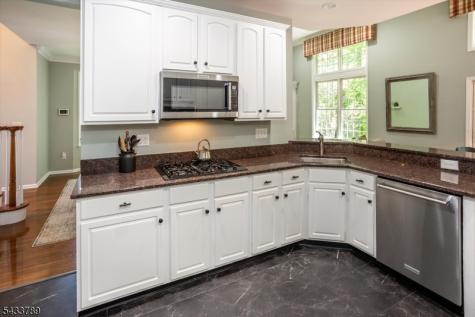 16 Wyckoff Way Chester NJ 07930