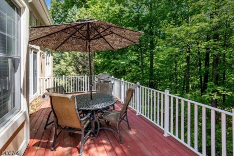 16 Wyckoff Way Chester NJ 07930