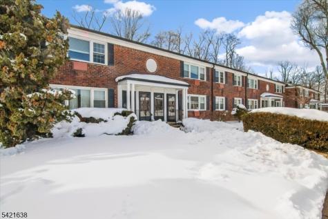 323 Pitney Place Morris NJ 07960