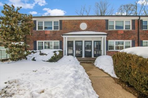 323 Pitney Place Morris NJ 07960
