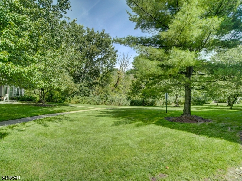 53 Springbrook Road East Montville NJ 07045