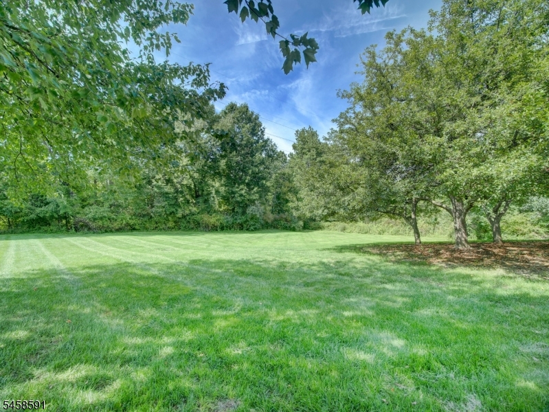 53 Springbrook Road East Montville NJ 07045
