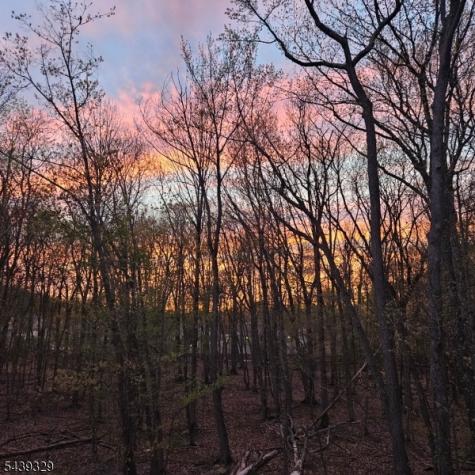 503 Abbe Road Little Falls NJ 07424