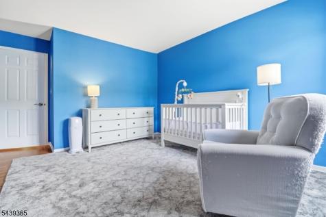 9 Shelley Place Morris NJ 07960