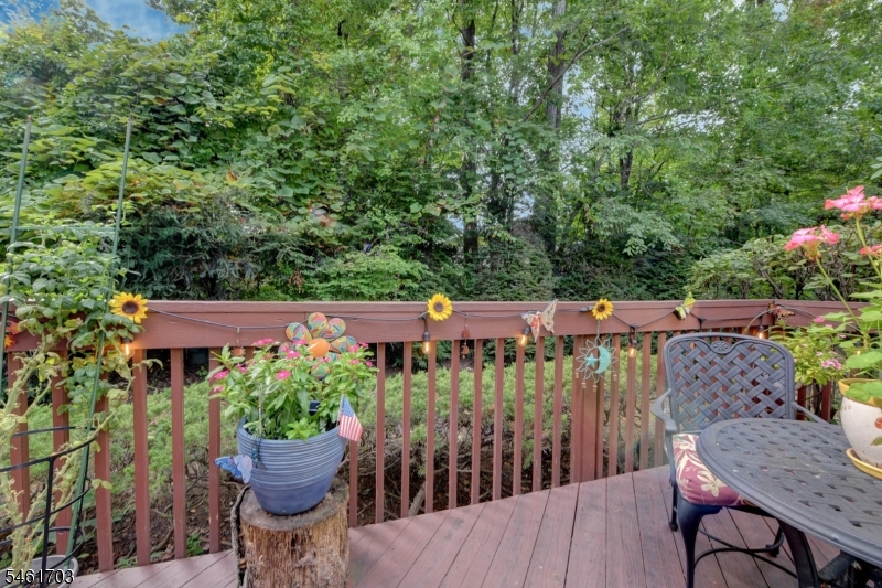 39 Ridgeview Terrace Jefferson NJ 07438