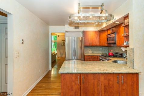 21 Lockley Court Mountain Lakes NJ 07046