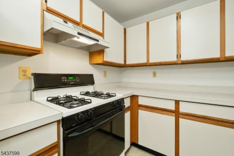 110 Stratford Place Bridgewater NJ 08805