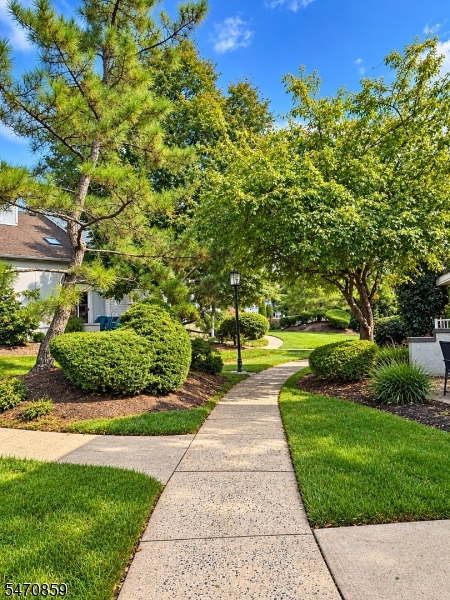 3115 Park Place Springfield NJ 07081