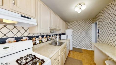 29 Colfax Manor Roselle Park NJ 07204