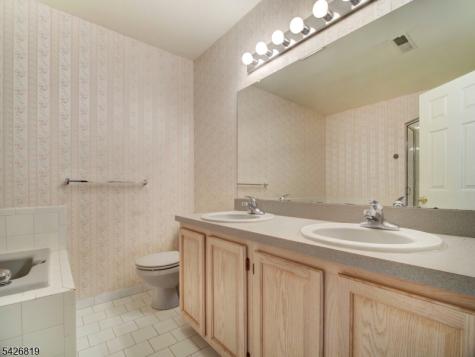 28 Helton Terrace Montville NJ 07045