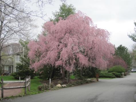 11 Old Fourth Drive Jefferson NJ 07438